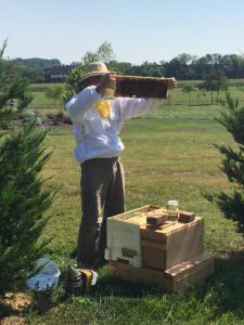 Photo of Bob in the Apiary